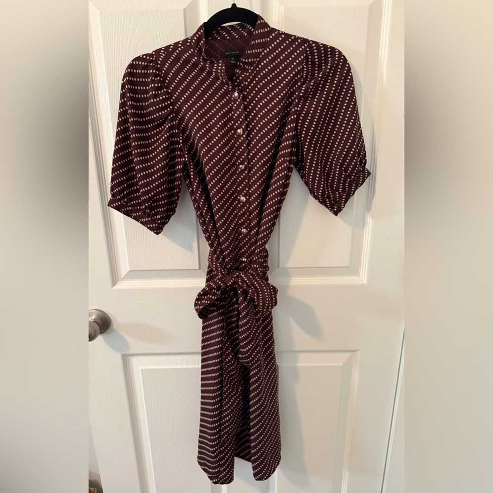 Ann Taylor Button Up Polka Dot Dress - Picture 4 of 13